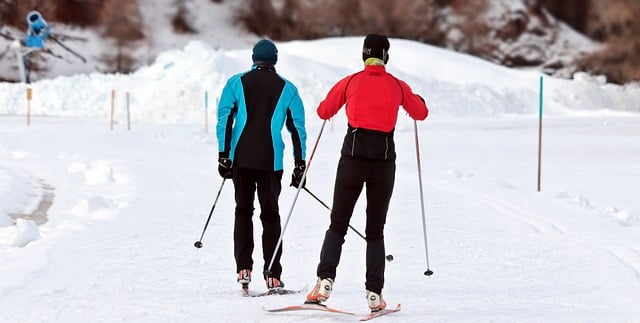 cross-country-skiing-3020751_640