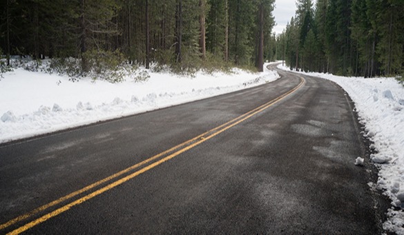 two-lane-asphalt-road-leads-through-forest-PGQFST6